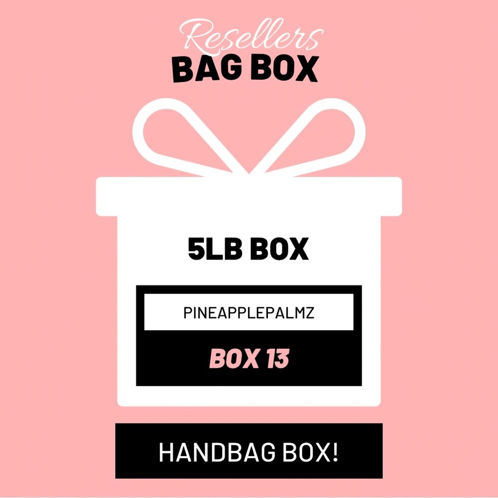 RESELLERS Bag Box Handbags Purses Wallet Random Brands & Sizes Up to 5lbs Box 13